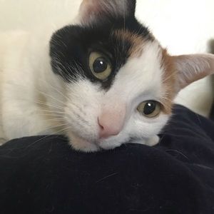 Meet your Posher, Emma